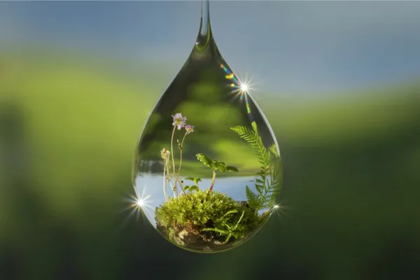 أهمية القرية في التربية