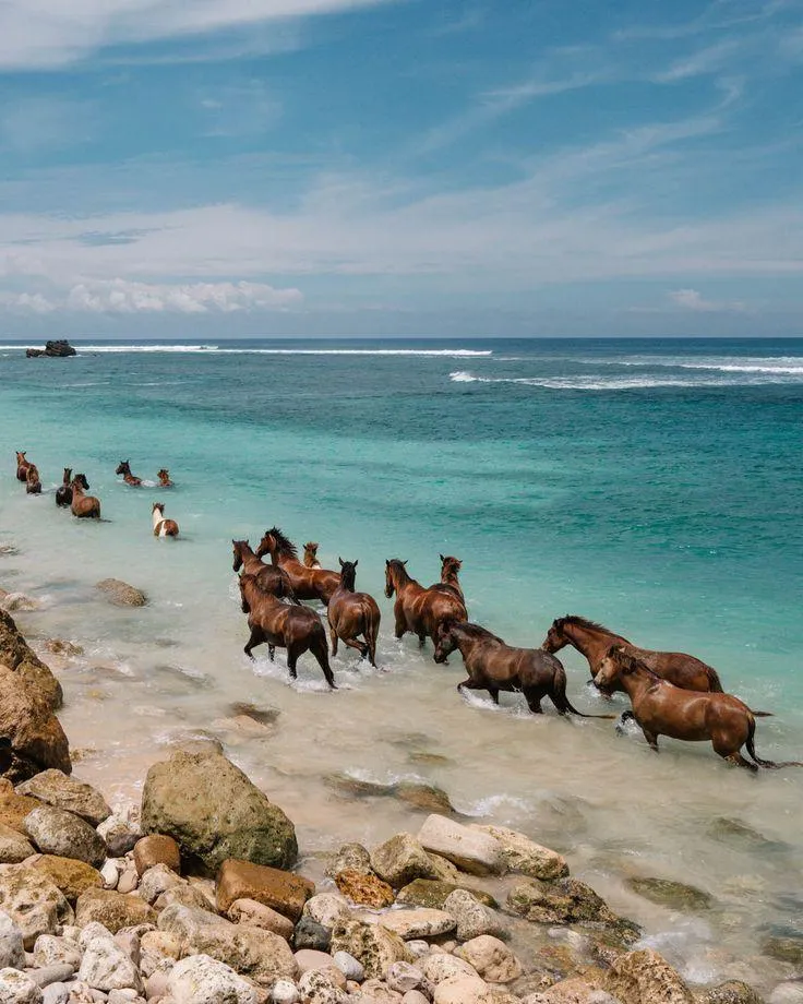 Foreigners Buying Land in Sumba: Legal Ownership and Lease Options