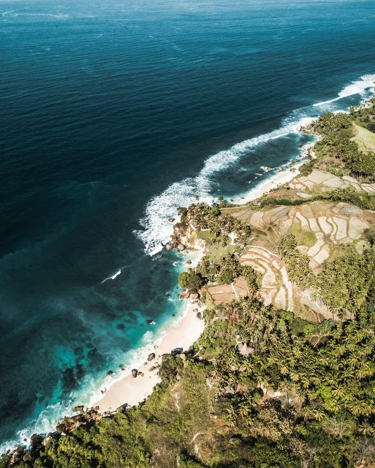 Sumba Investment vs Bali: Why Investors Are Buying Land in Sumba