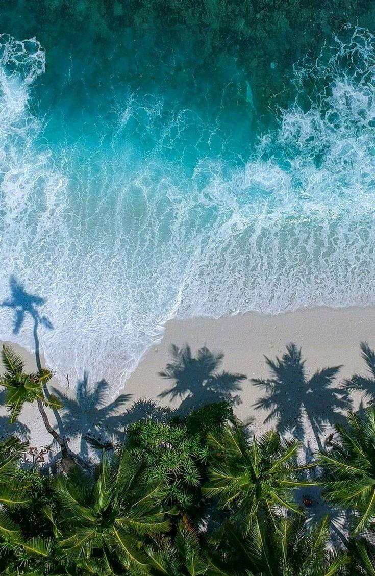 Can Foreigners Own Land in Indonesia? 2025 Legal Guide