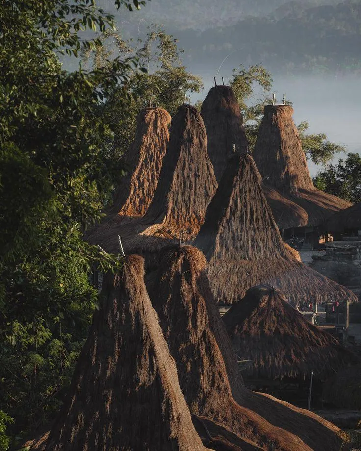 Avoid Land Scams in Indonesia: A Guide for Foreign Investors in Bali, Sumba, and Beyond