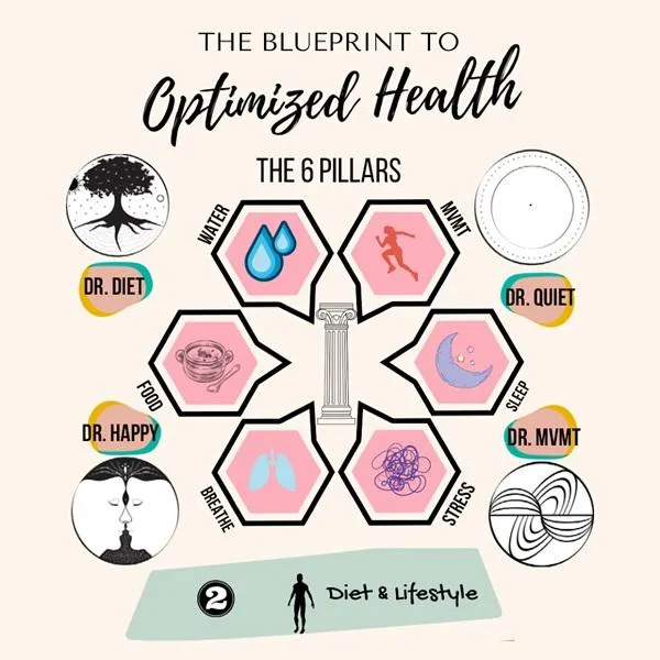 Six pillars of health