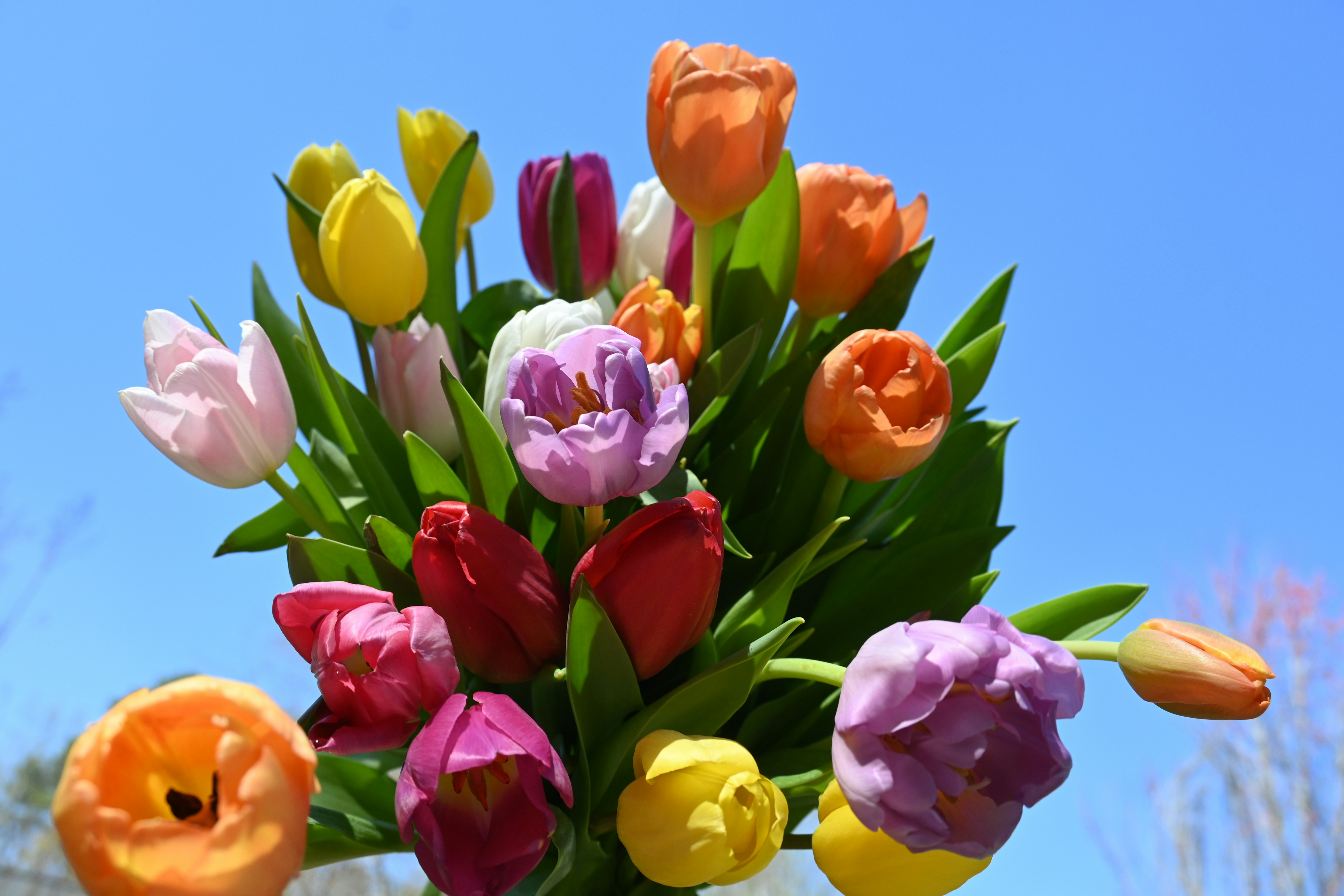 Love Is in the Air - Deborah Myers Wellness