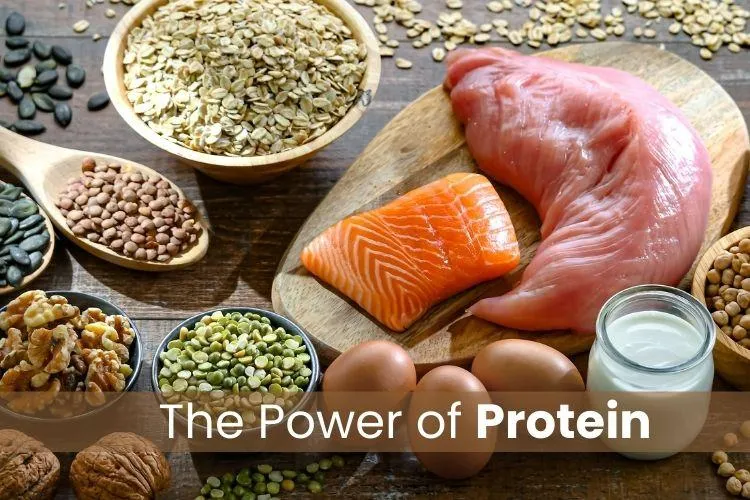 The Power of Protein