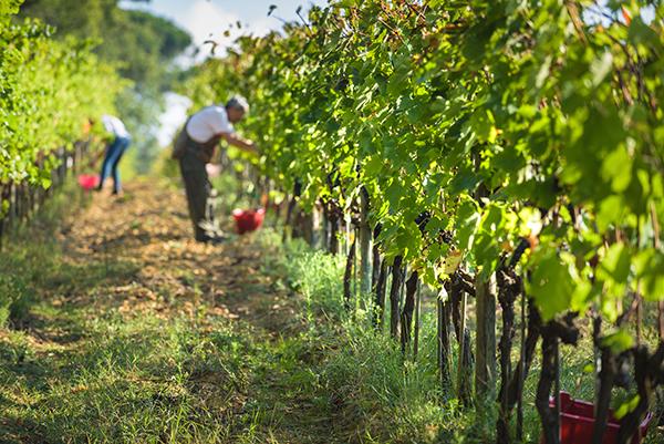 5 Key Elements To Consider To  Negotiate Better Prices With Selected Distributors