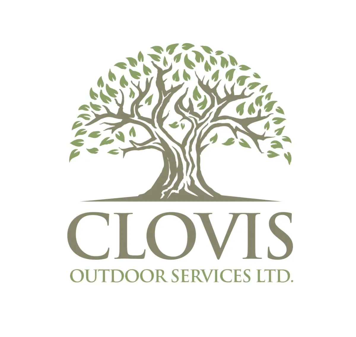 Clovis Outdoor Services Tree Logo