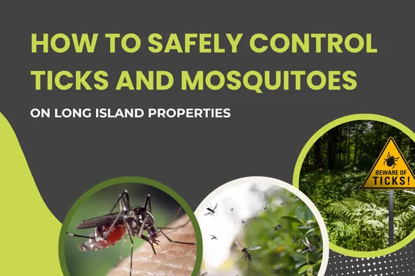 How to Safely Control Ticks and Mosquitoes on Long Island Properties