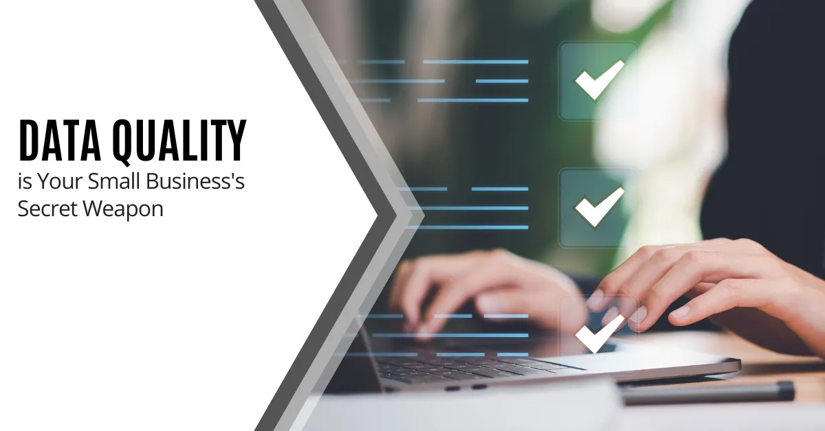 Data Quality is Your Small Business's Secret Weapon
