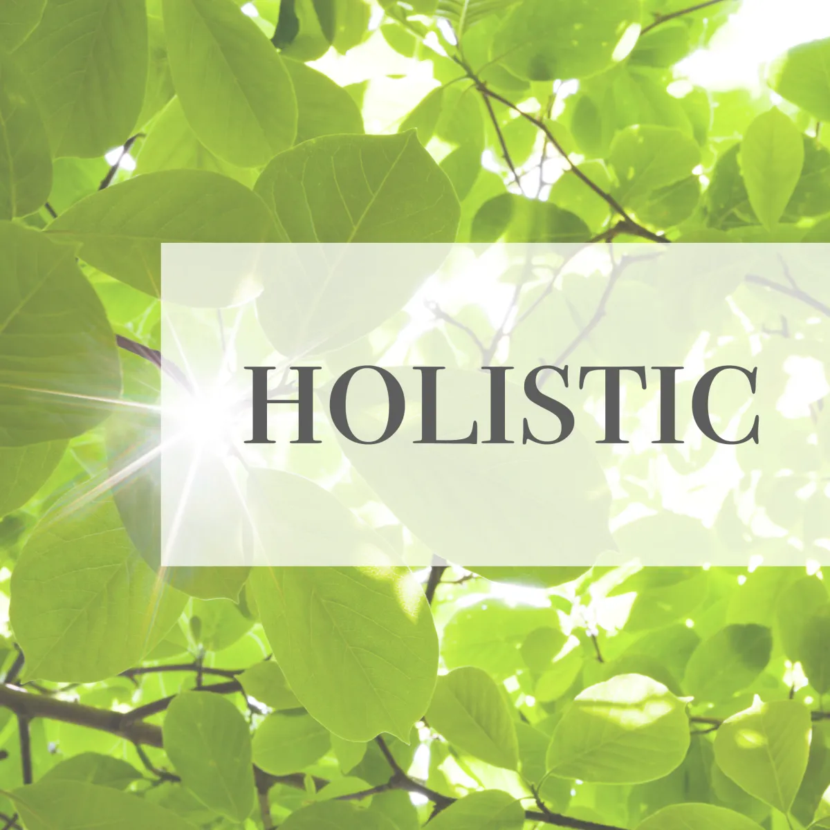 Holistic