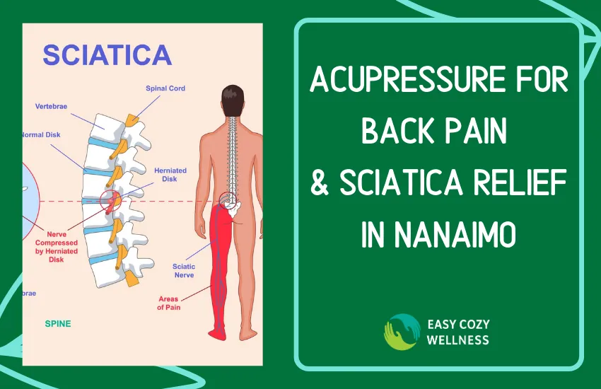 Beyond the Ache: How Acupressure in Nanaimo Can Help Relieve Back Pain