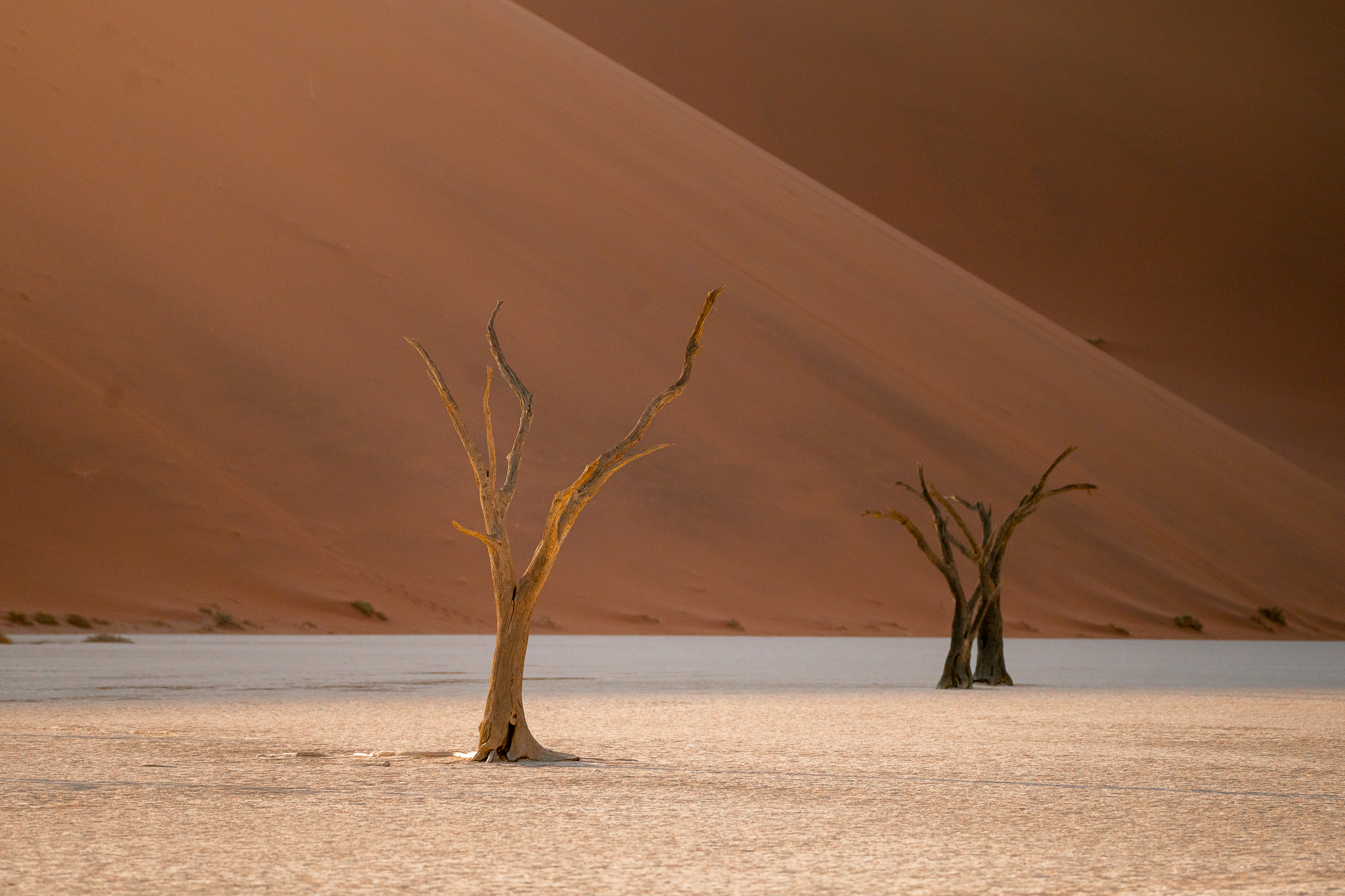 The Ultimate Guide to Packing for a Trip to Namibia