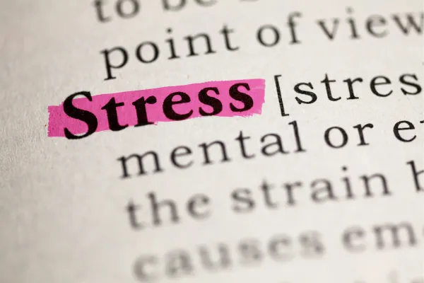 stress highlighted in pink in doctionary