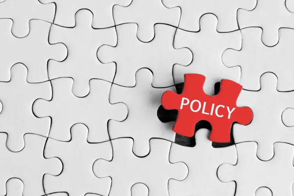 Policy puzzle piece