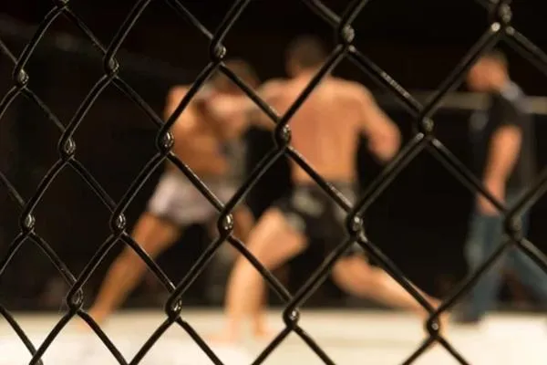 Mastering Octagon Control: Winning Without Always Throwing Hands