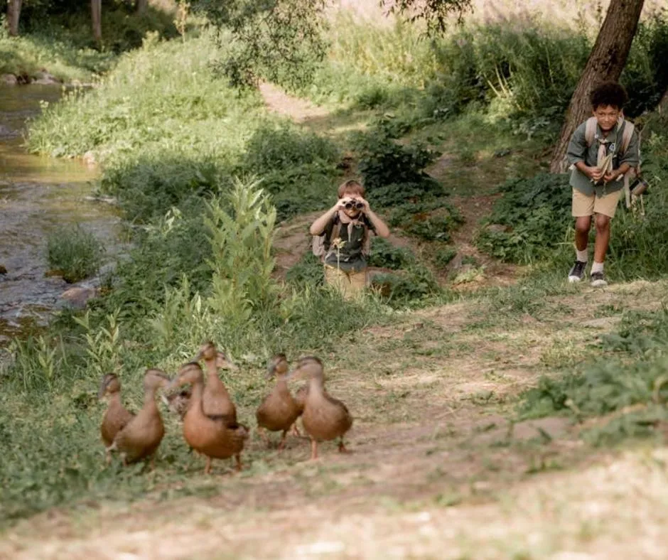 5 Best Toddler Activities Near Johns Creek, GA