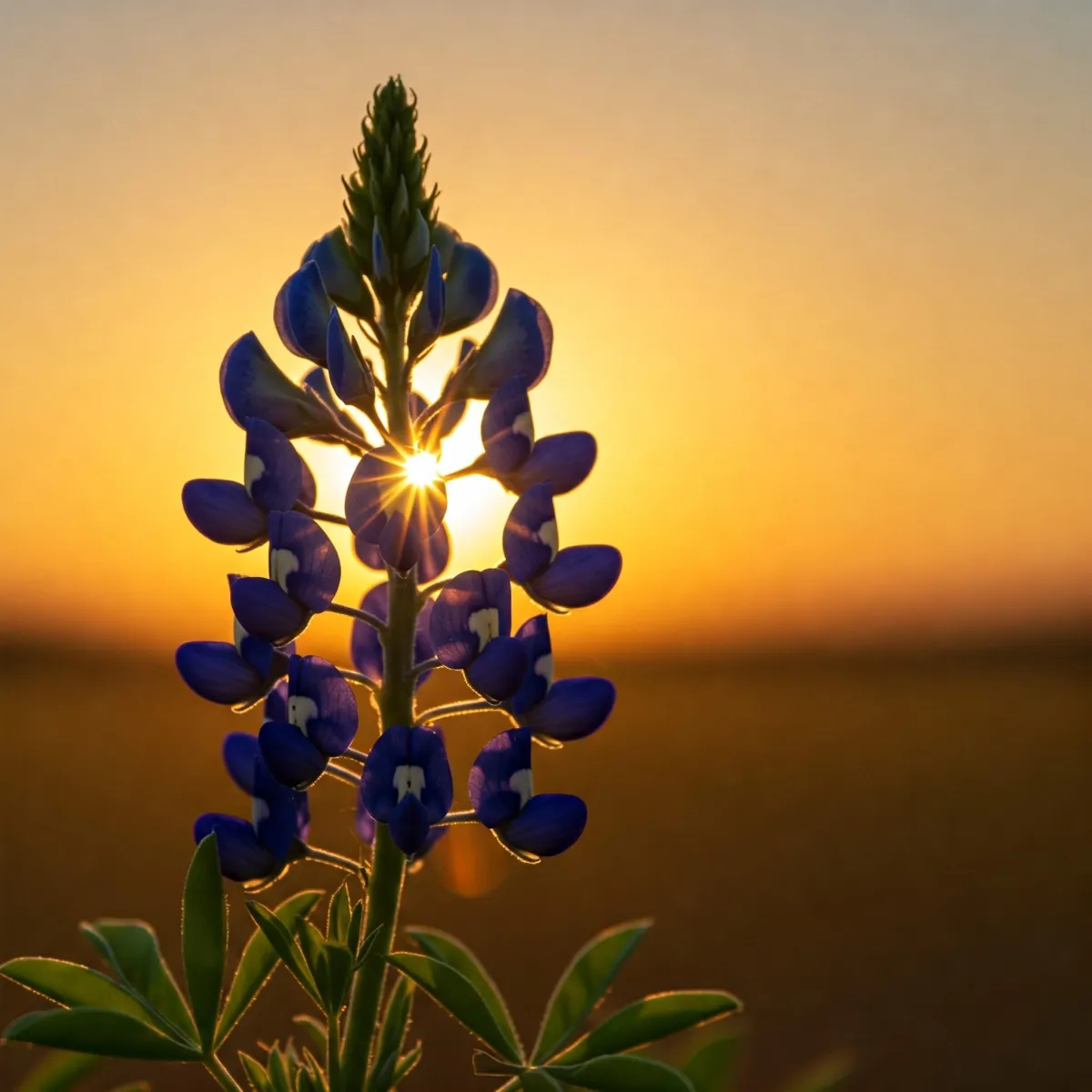 Case Studies: Life Insurance Success Stories in Texas