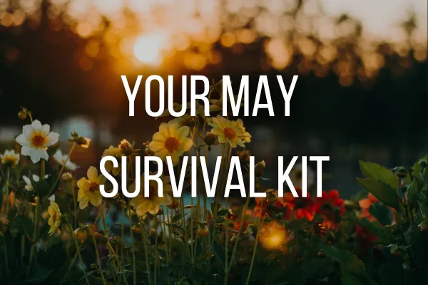 Your May Survival Kit: 10 Tiny Habits That Create Massive Change