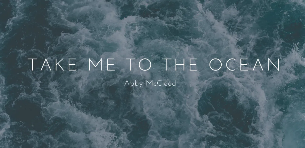 Take Me to The Ocean