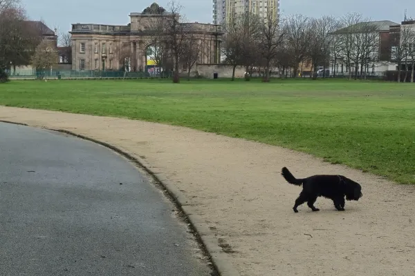 Creative Reset Through Routine: Doing the Thing Anyway