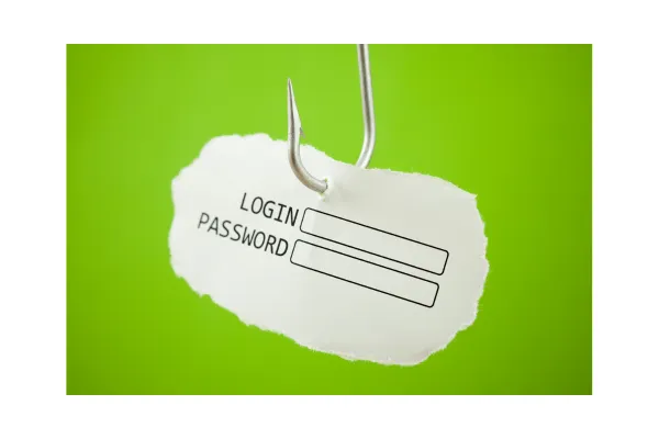 phishing log in fields