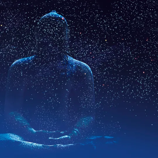 The Power of stillness 