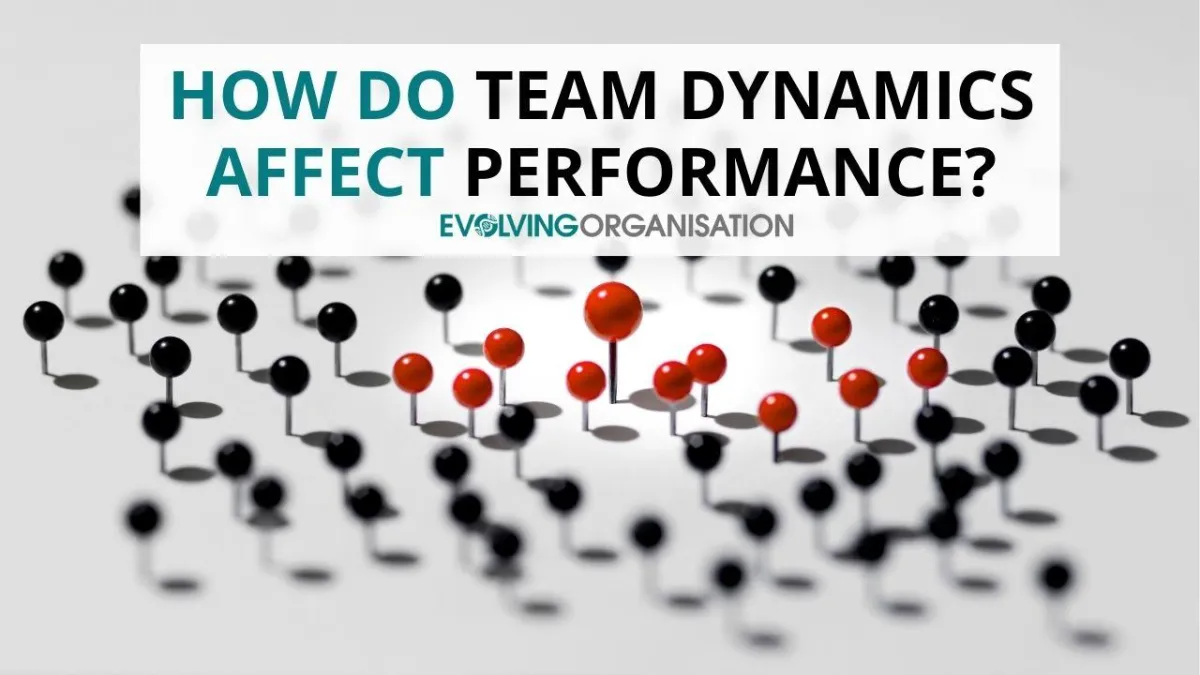 How Do Team Dynamics Affect Performance