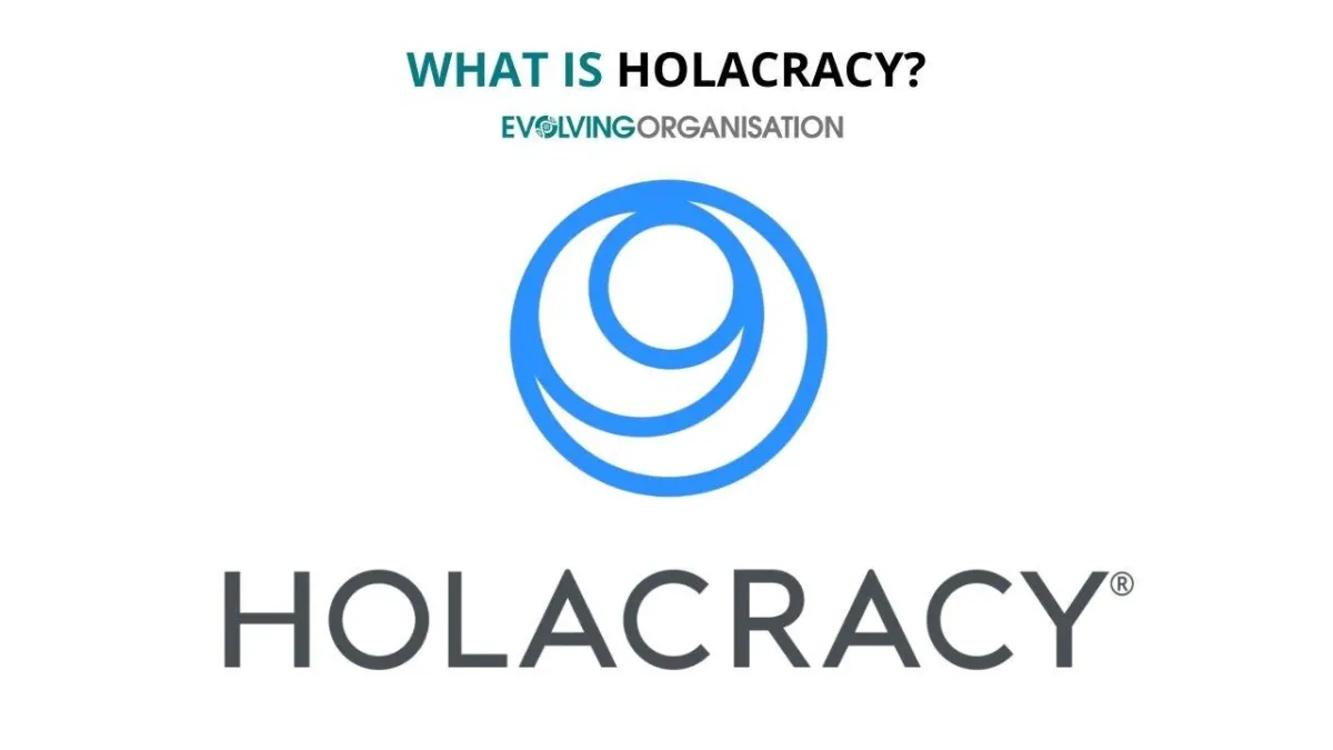 What Is a Holacracy Structure