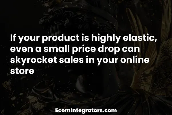 What Does High Price Elasticity Mean for Your eCommerce Business? Boost Sales or Break Even!