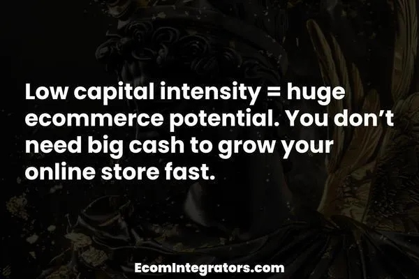 What Low Capital Intensity Means for eCommerce Entrepreneurs