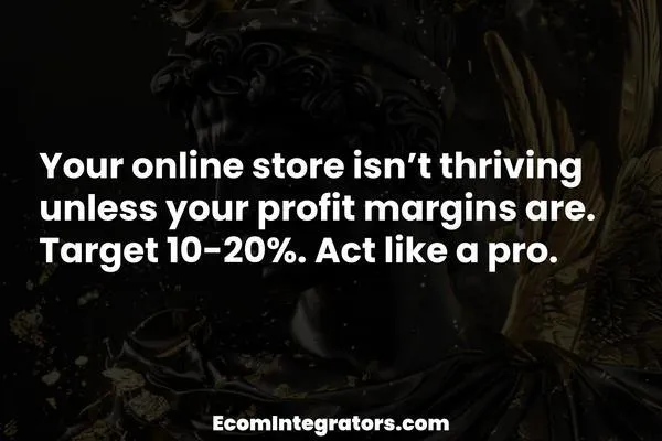 What’s a Good Profit Margin for Your eCommerce Store? Boost Your Bottom Line Now!