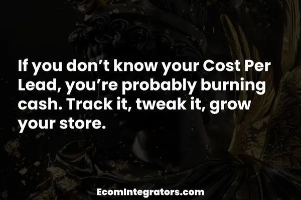 How to Calculate Cost Per Lead for Your eCommerce Store