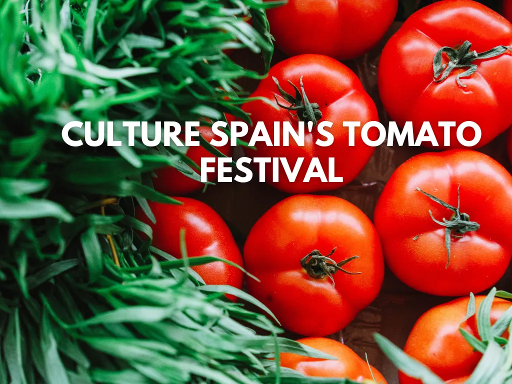 Culture Spain’s tomato festival