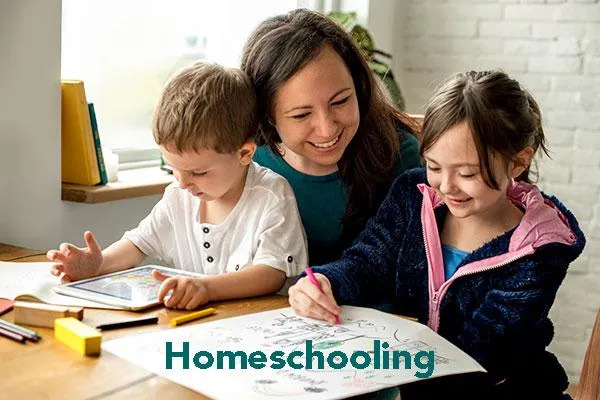 Homeschooling C1 Speaking Worksheet