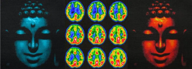Meditation Enhances Brain Function and Grey Matter