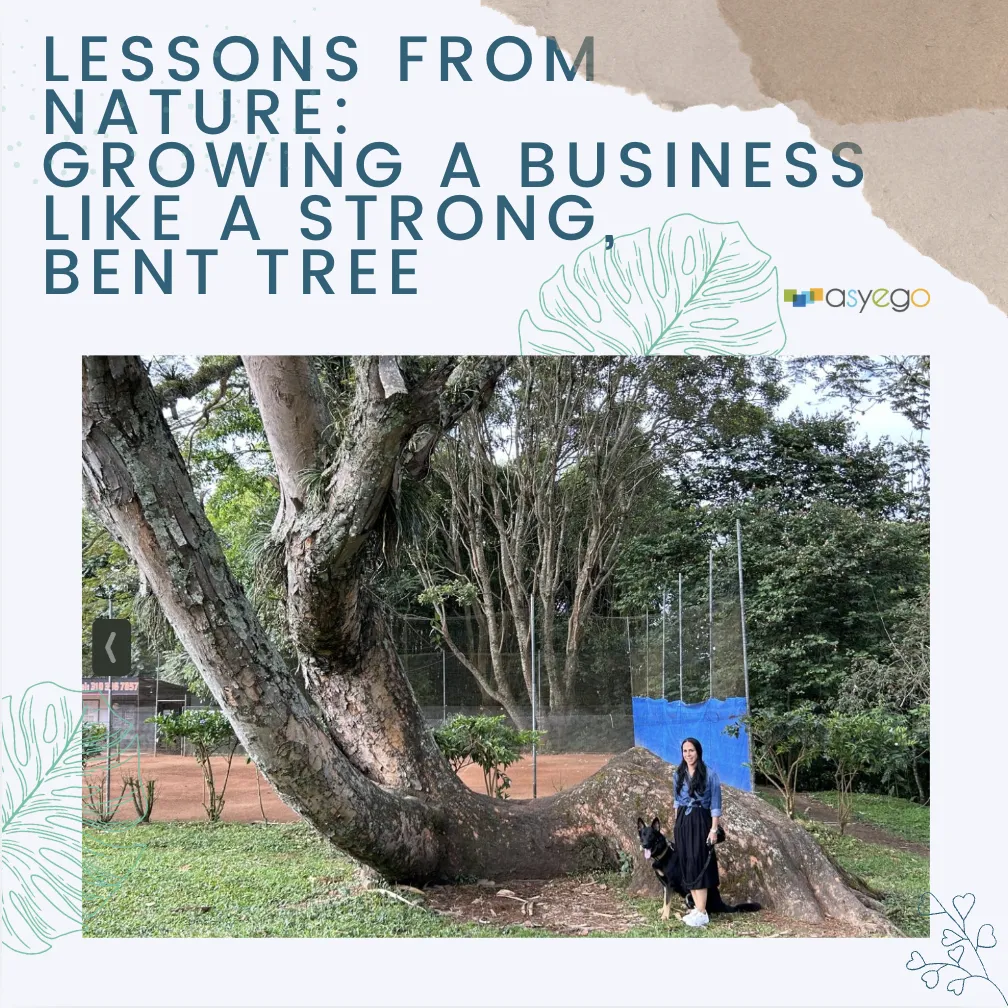 Lessons from Nature: Growing a Business Like a Strong, Bent Tree