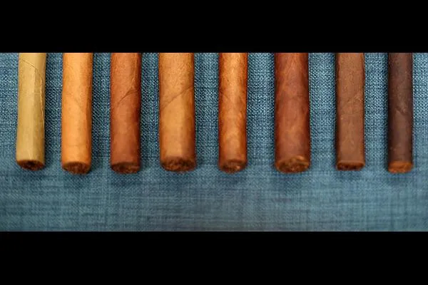 Top-Rated Wraps You’ll Find at Ruby's Smoke Shop in 2025
