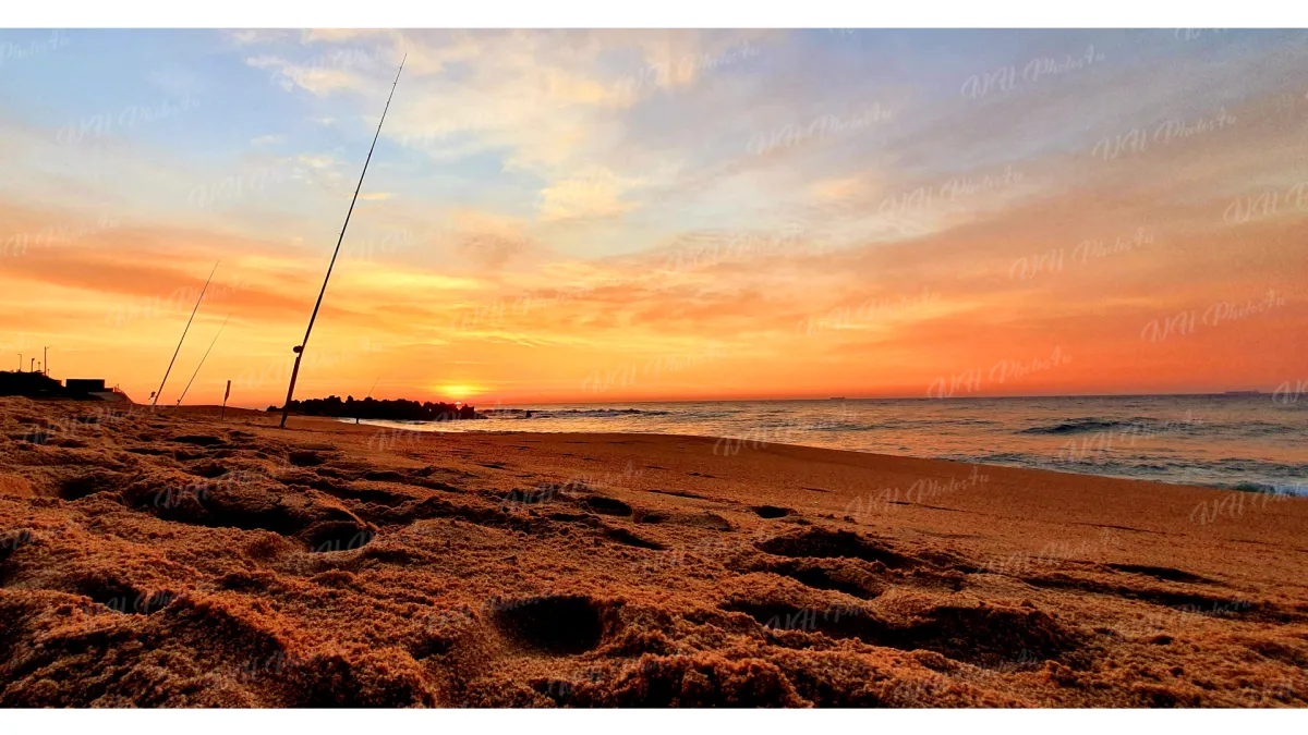 When Light Became Medicine