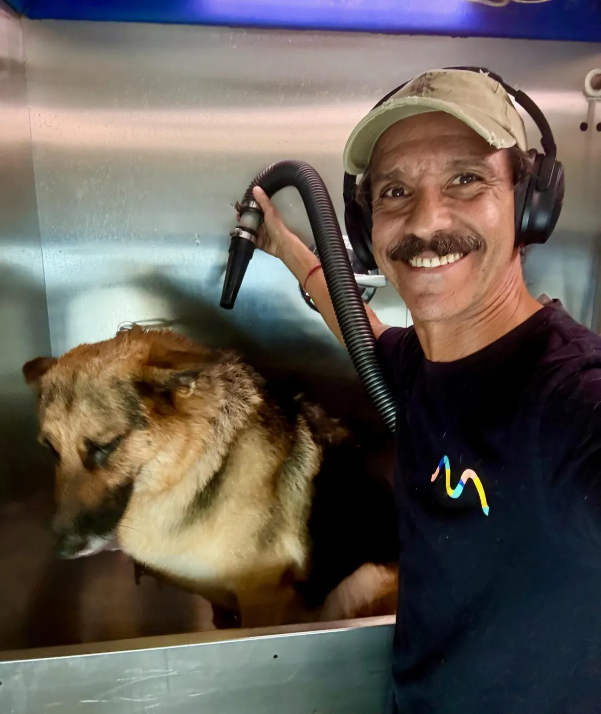 Mobile Dog Grooming in Fort Lauderdale: Why Busy Pet Parents Love It