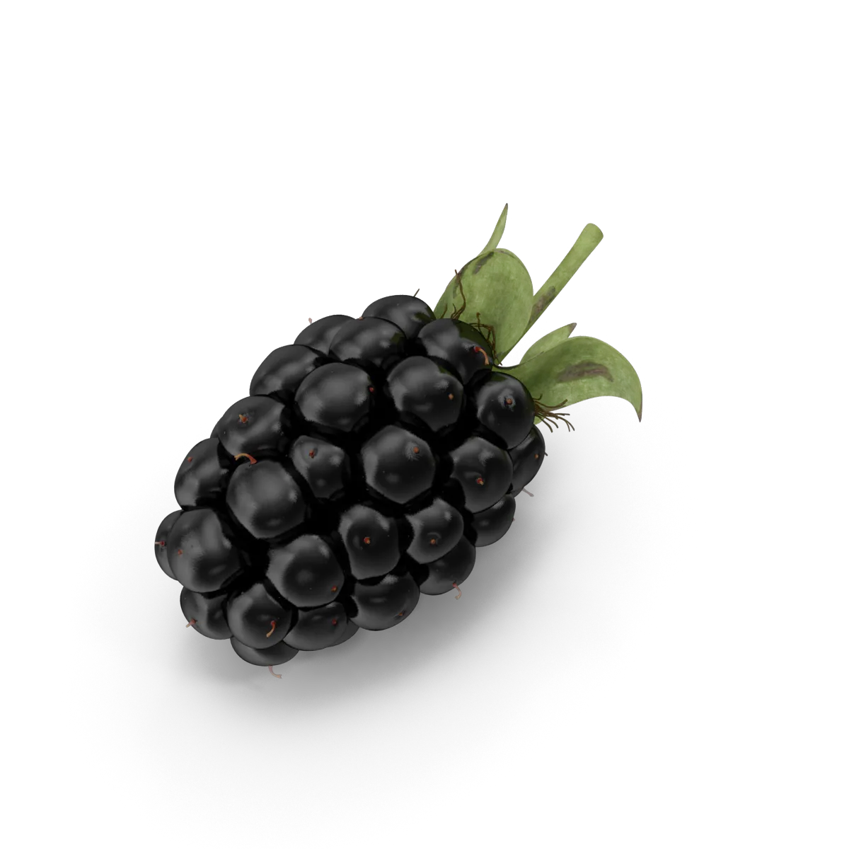 Ripe Blackberry