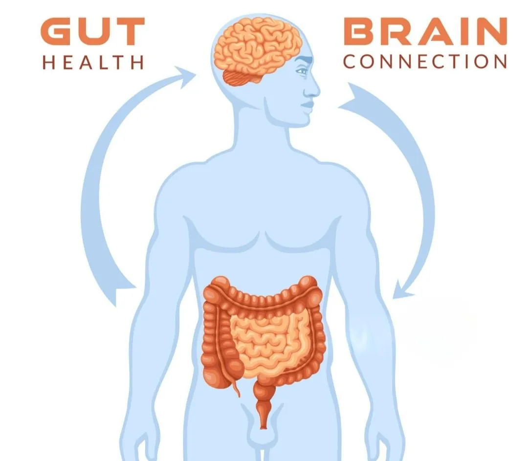 Gut Health and Chronic Illness: What Testing Can Reveal