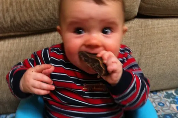 Biltong, baba en tandekry pyne!