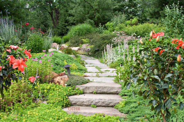 When “New Year, New You” Falls Flat