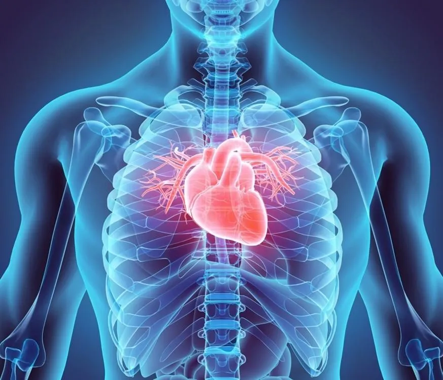 National Heart Month and Sleep Apnea
