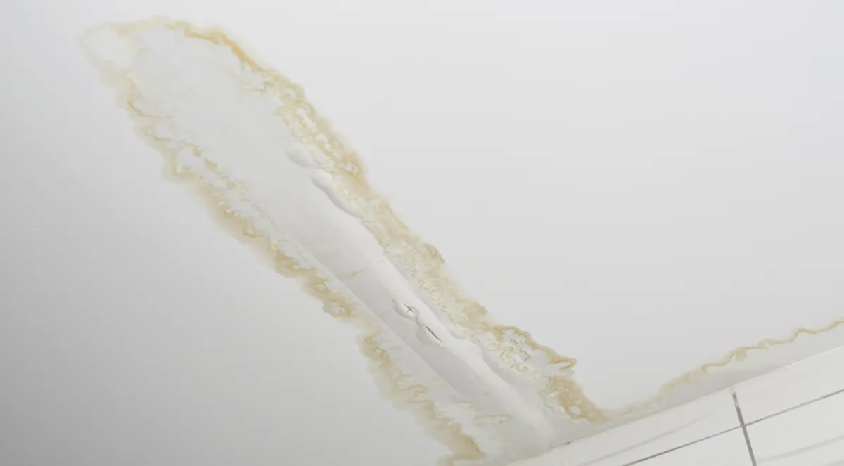 Delaying Roof Replacement? Discover the Hidden Costs
