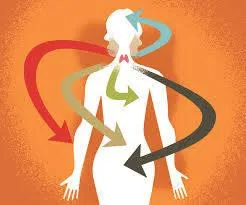 What Causes Thyroid Problems?