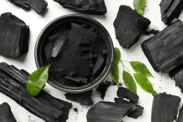 How Binders Actually Work in Mold Toxicity: Clearing the Path to Recovery