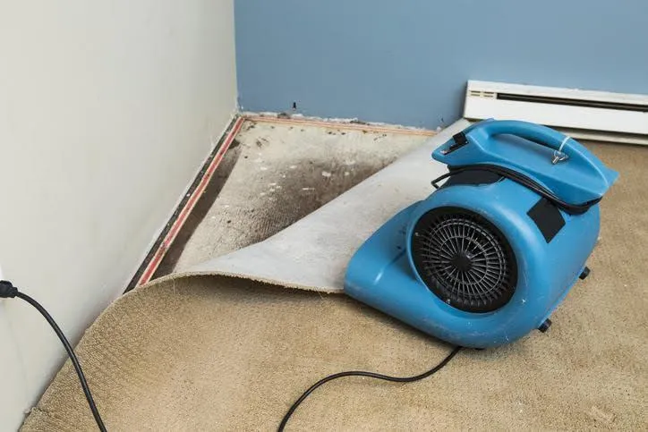 High-powered fans drying water-damaged flooring