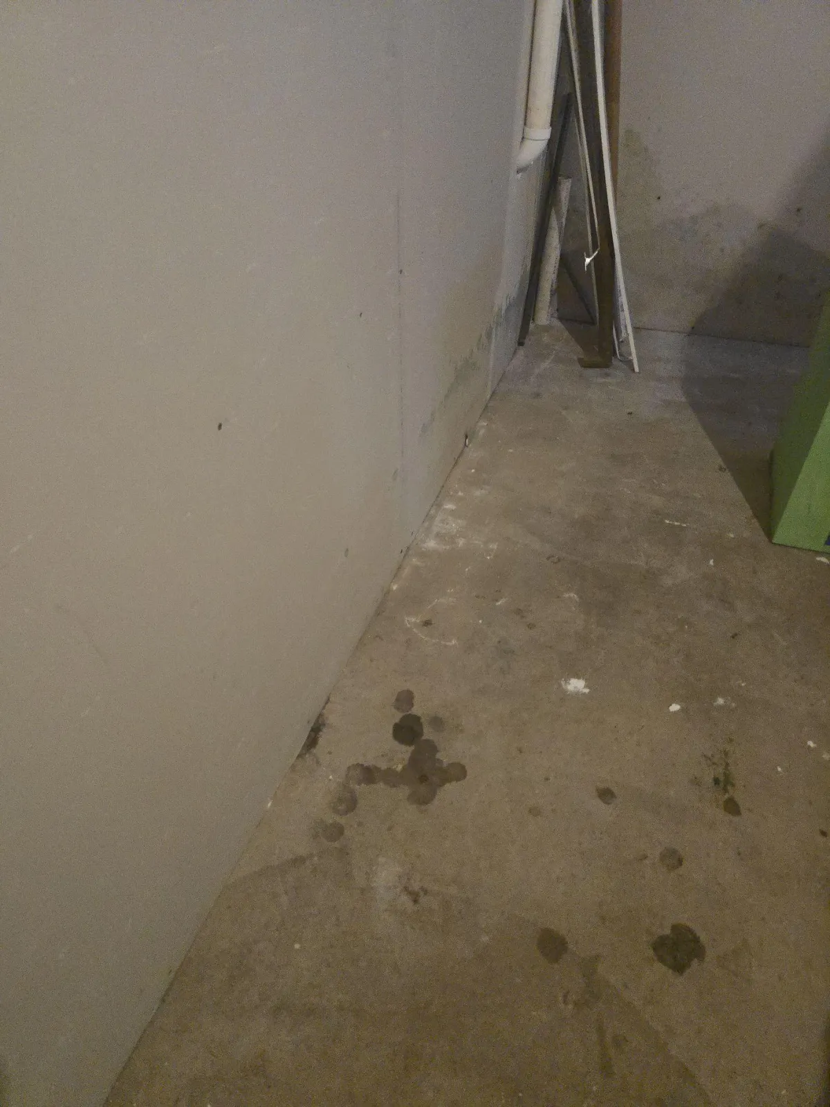 Technician from Warner Restoration performing water removal and mold assessment in a residential basement in Rockford, IL.