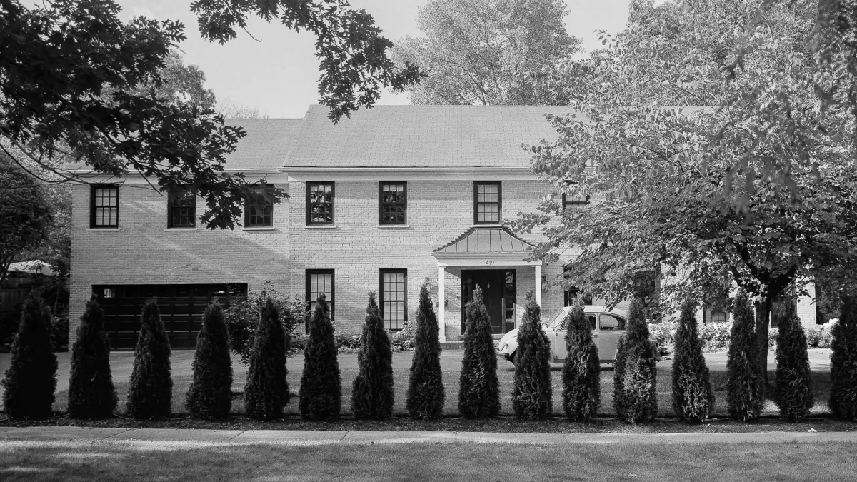 A black-and-white photograph demonstrating the Zone System's tonal range, from deep shadows to bright highlights, showcasing the power of precise exposure and development in film photography.