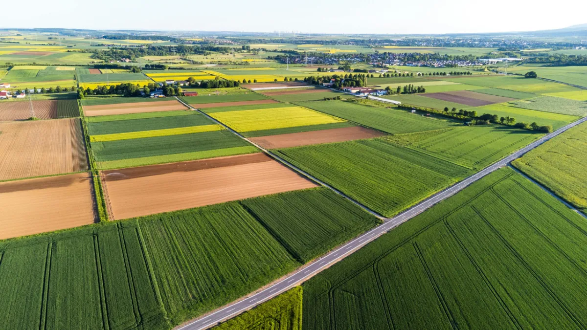 Đề xuất điều chỉnh mức thu tiền chuyển đổi đất nông nghiệp sang thổ cư